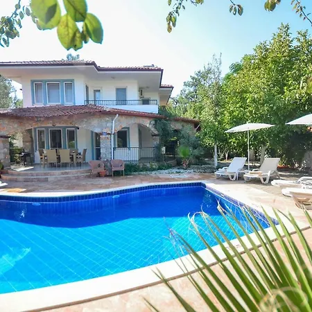 Seyir Villa