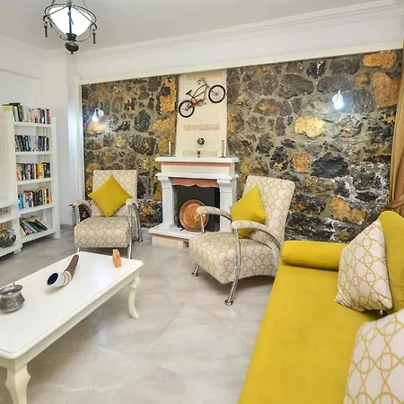 Villa Seyir *
